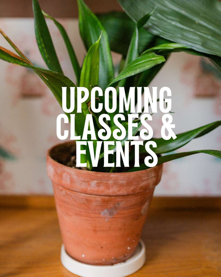 Upcoming Classes & Events