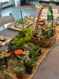 Terrarium Classes
