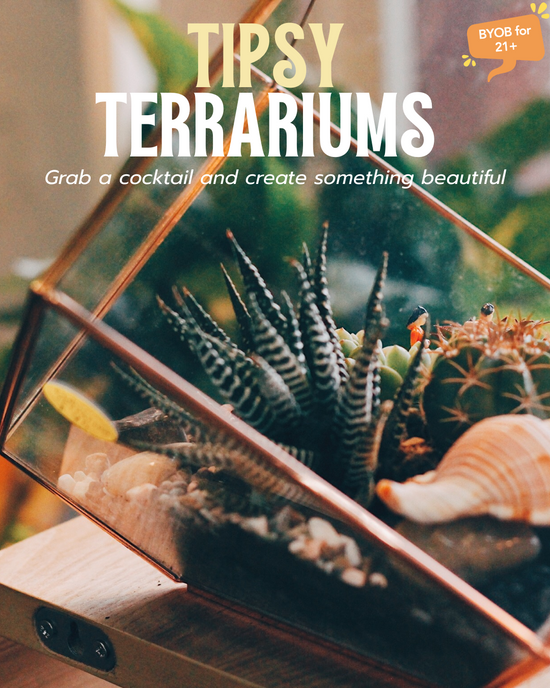 Tipsy Terrariums