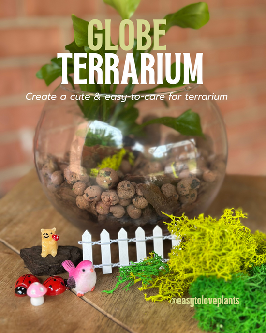 Sept 6 - Terrarium Classes & Kits