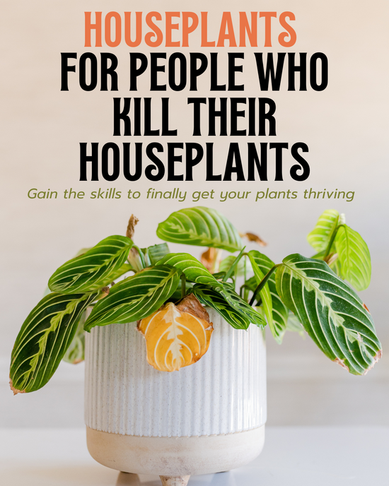 **Private Class for MJLL** Houseplants for People Who Kill Their Houseplants Class