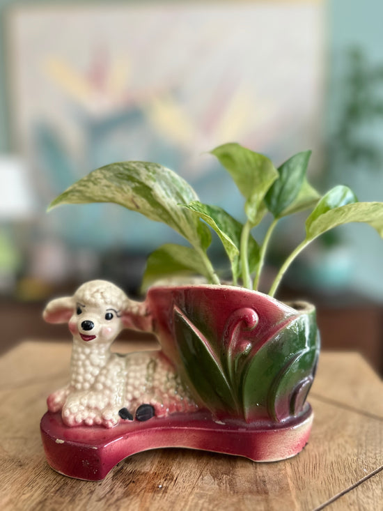 *Vintage* Lamb Planter with Snow Queen Pothos