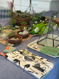 Terrarium Classes