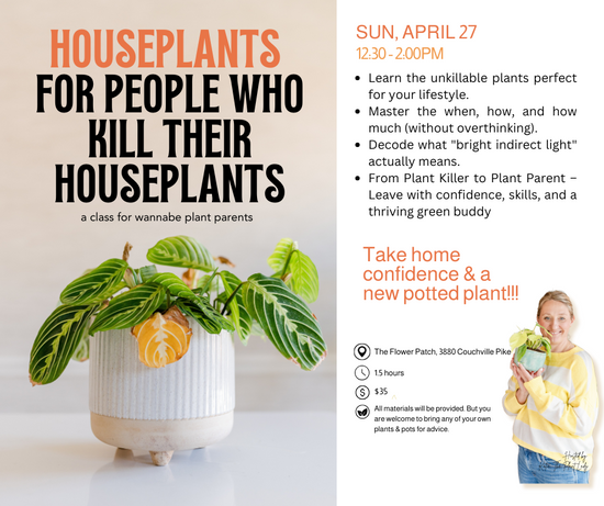**Private Class for MJLL** Houseplants for People Who Kill Their Houseplants Class