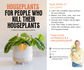 **Private Class for MJLL** Houseplants for People Who Kill Their Houseplants Class