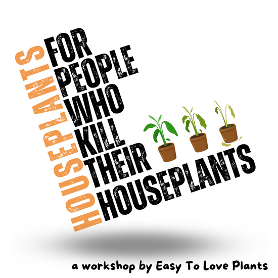 Workshop: Houseplants for People Who Kill Their Houseplants