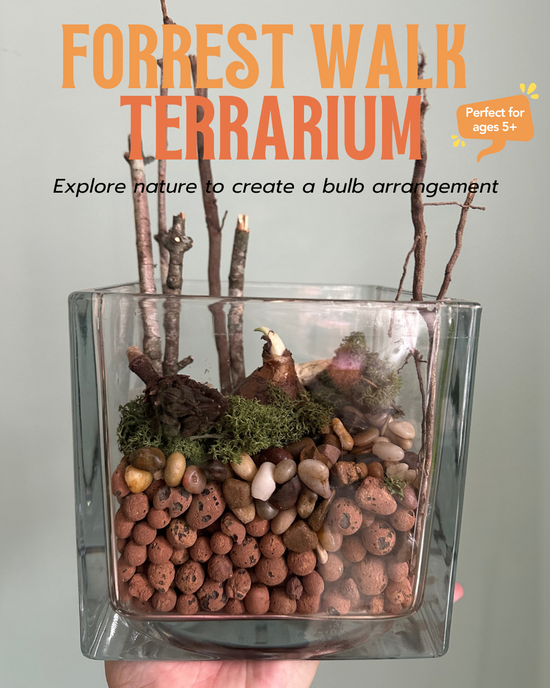 Nature Walk Terrarium Class