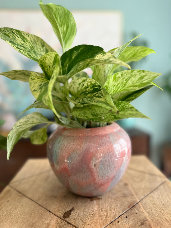 *Vintage* Pink Pot Planter with Neon Pothos