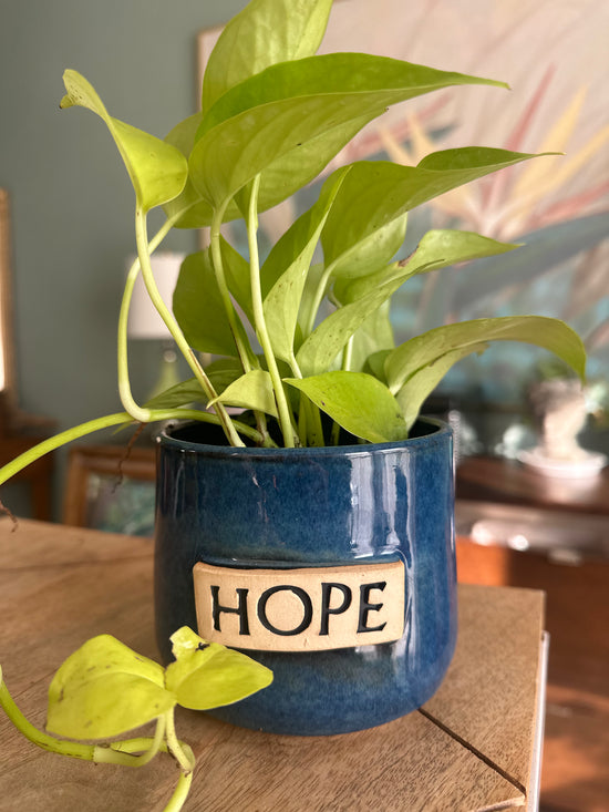 Neon Pothos in “HOPE”  JKM Pot