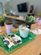 Uniquely Rooted - A Houseplant Exploration Class