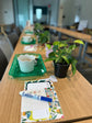 Uniquely Rooted - A Houseplant Exploration Class