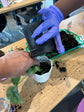 Uniquely Rooted - A Houseplant Exploration Class