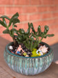 Mermaid Succulent Garden Workshop