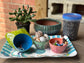 Mermaid Succulent Garden Workshop