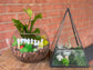 Sept 6 - Terrarium Classes & Kits