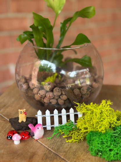 Sept 6 - Terrarium Classes & Kits