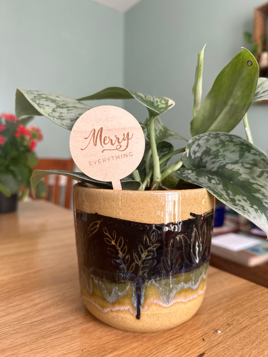 Silvery Satin Pothos in Locally Made Pottery