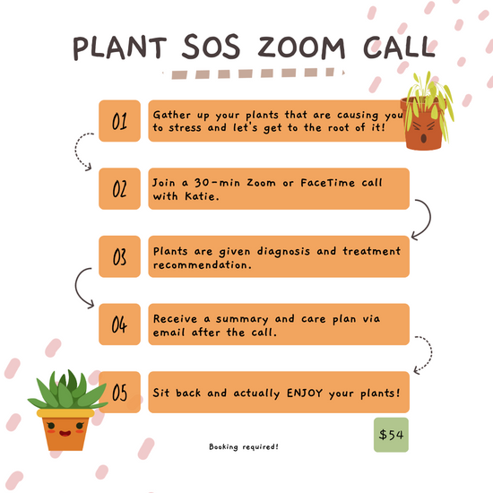 Houseplant SOS Zoom Call