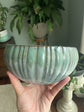 Tabletop Succulent Garden Class, July 11, 6 - 8PM